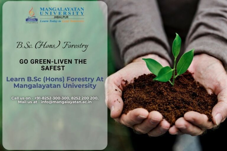The image is representing the Bachelor of science in Forestry at Mangalayatan University Jabalpur.